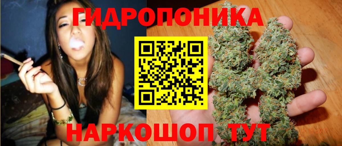 Бошки марихуана план  Вход с VPN  Шишки марихуана ГИДРОПОН  Нижнеудинск  Марихуана конопля 